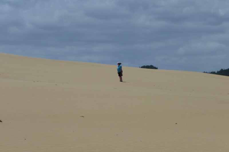 Nieuw-Zeeland 2011 - 0377